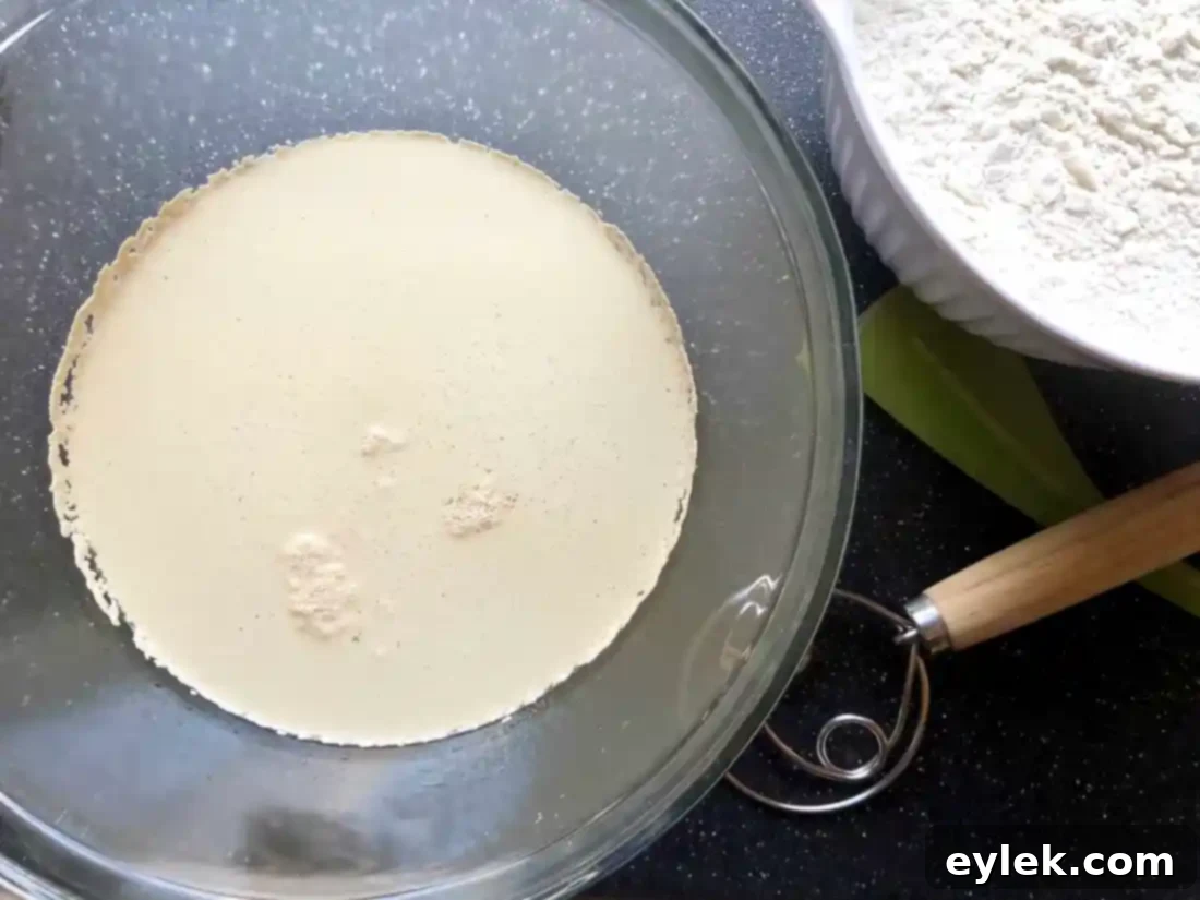 Margherita: Neapolitan Crust Perfection 4 pizza margherita with authentic neopolitan crust