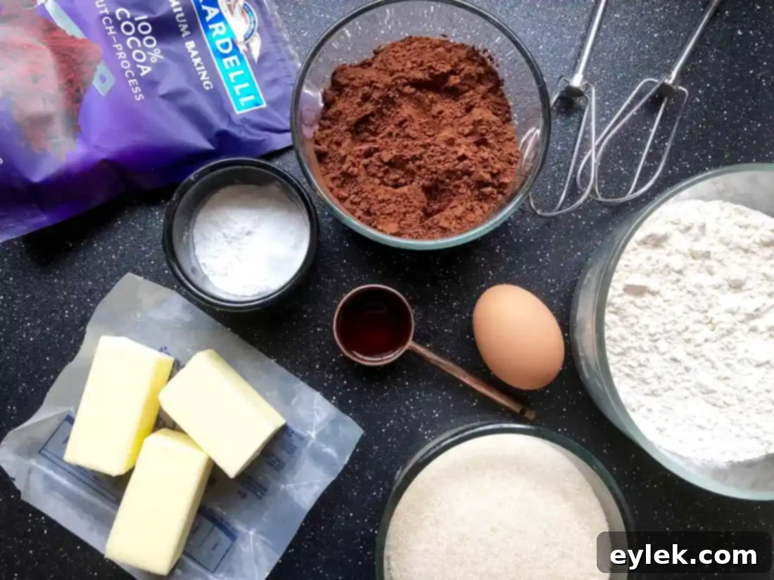 dark chocolate wafer cookies dough