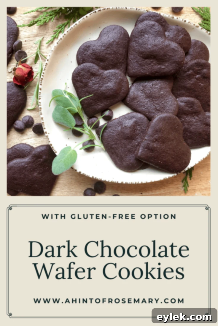 Dark Chocolate Wafer Cookies hero shot