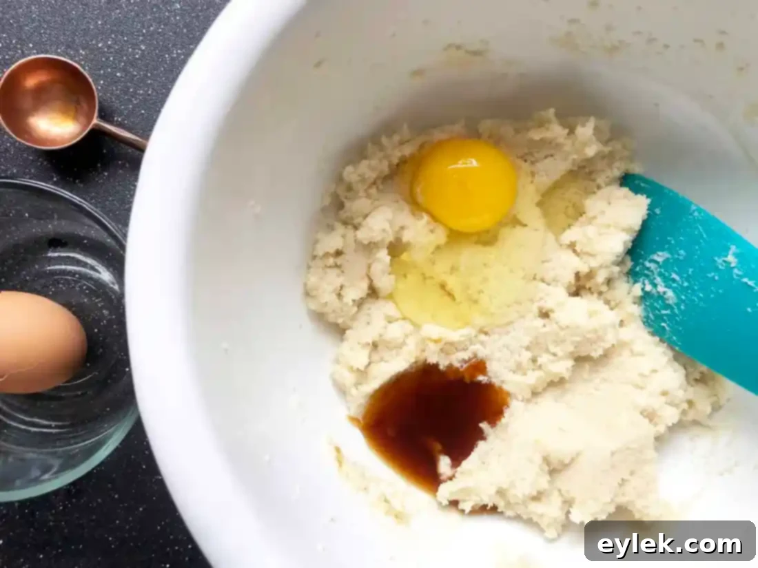 dry ingredients for dark chocolate wafer cookies
