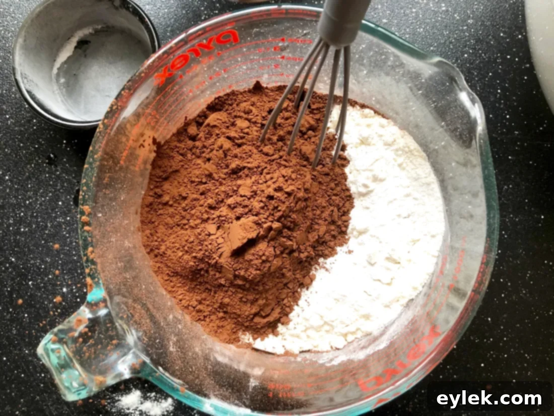 adding dry ingredients to wet for dark chocolate wafer cookies