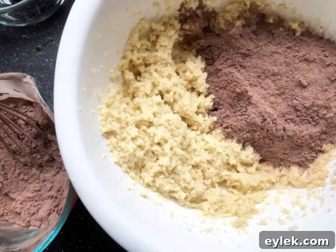 thick dark chocolate wafer cookie dough