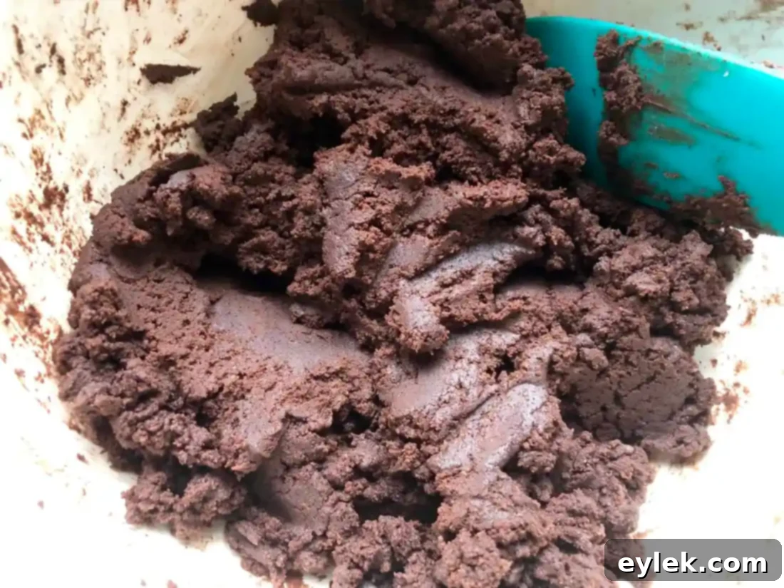 dark chocolate wafer cookie dough being rolled out