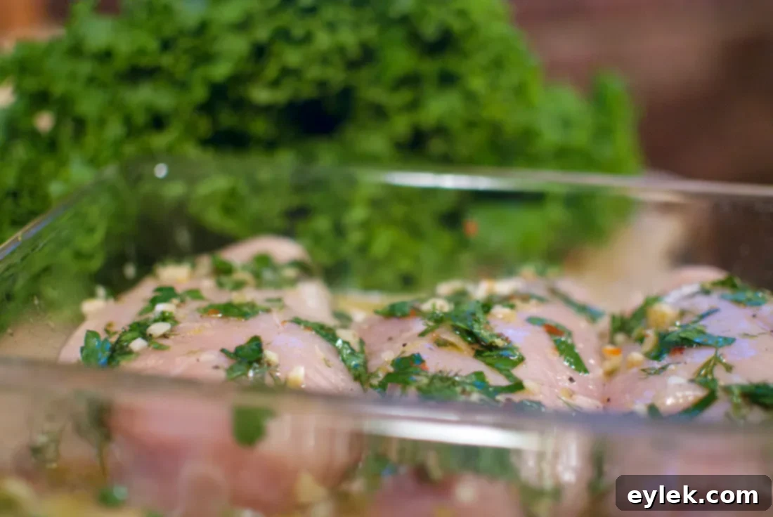Grilled chicken breasts and asparagus spears cooking on an outdoor grill