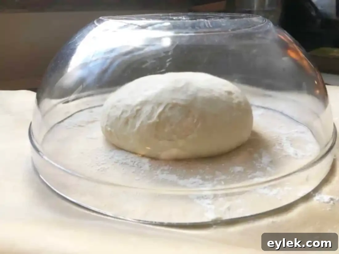 close-up of quick & easy no-knead artisan bread dough resting