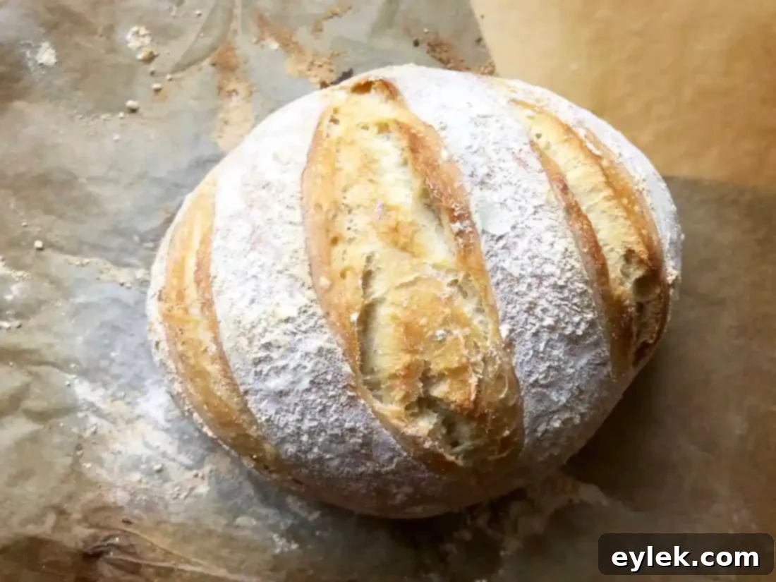 freshly baked quick & easy no-knead artisan bread on stone