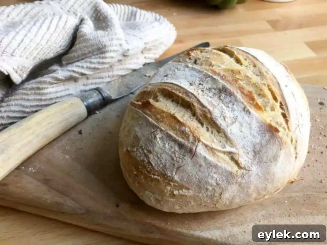 close-up of quick & easy no-knead artisan bread baked with steam