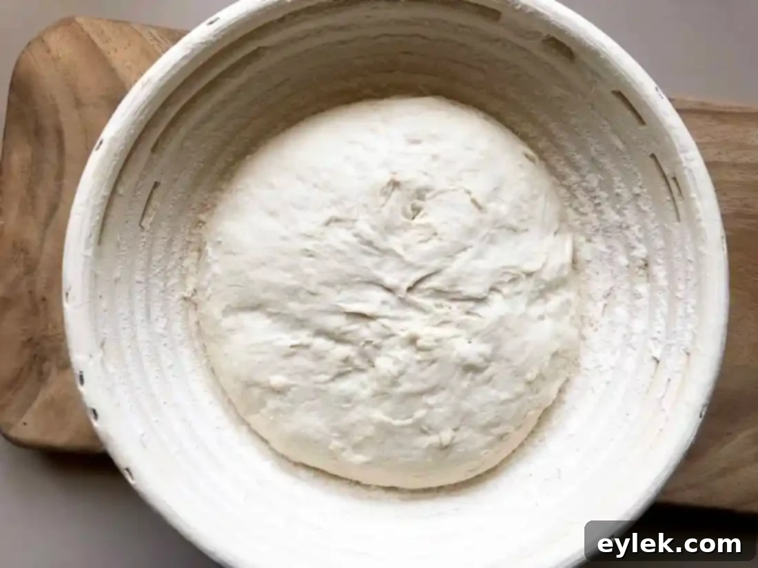 quick & easy no-knead artisan bread dough in brotform