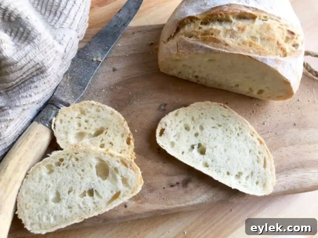 quick & easy no-knead artisan bread
