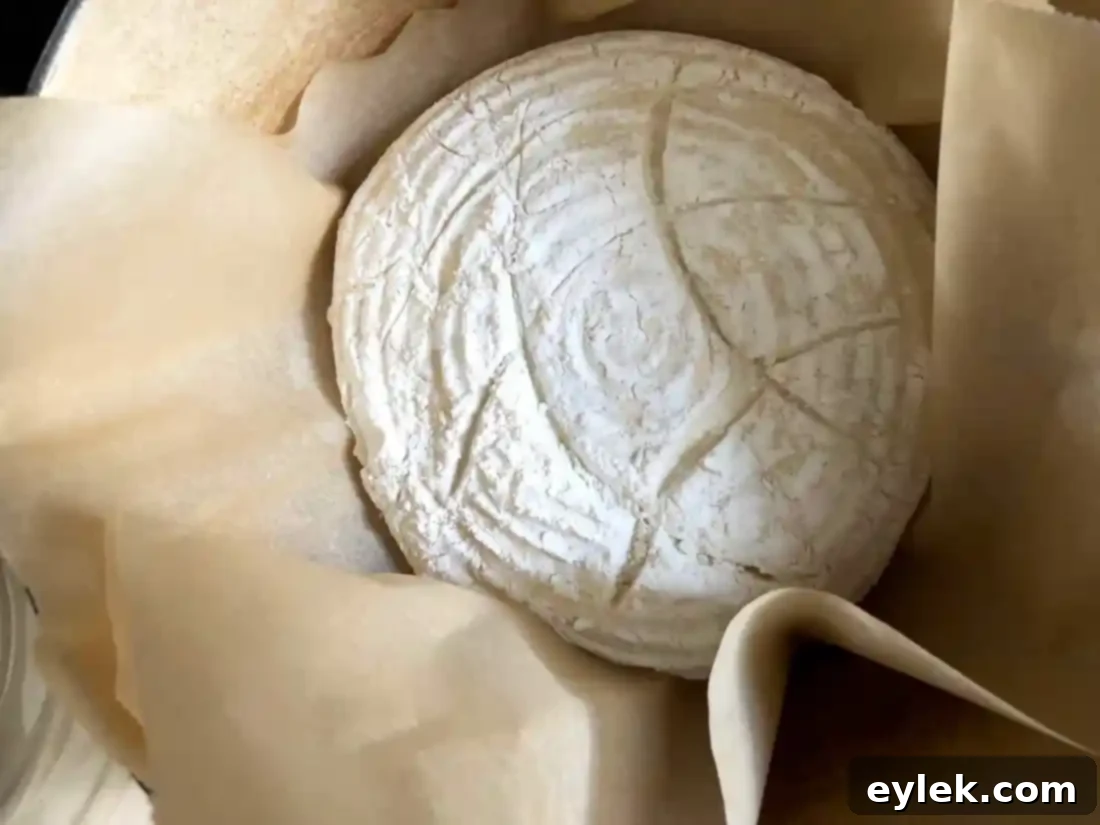 brotform pattern on quick & easy no-knead artisan bread dough