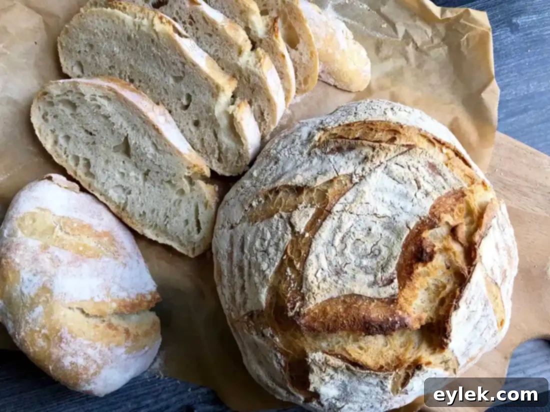 sliced quick & easy no-knead artisan bread