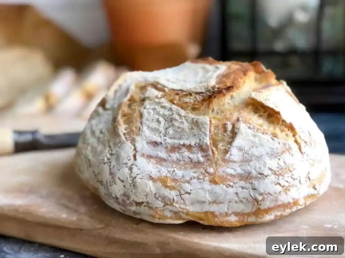 quick & easy no-knead artisan bread with butter