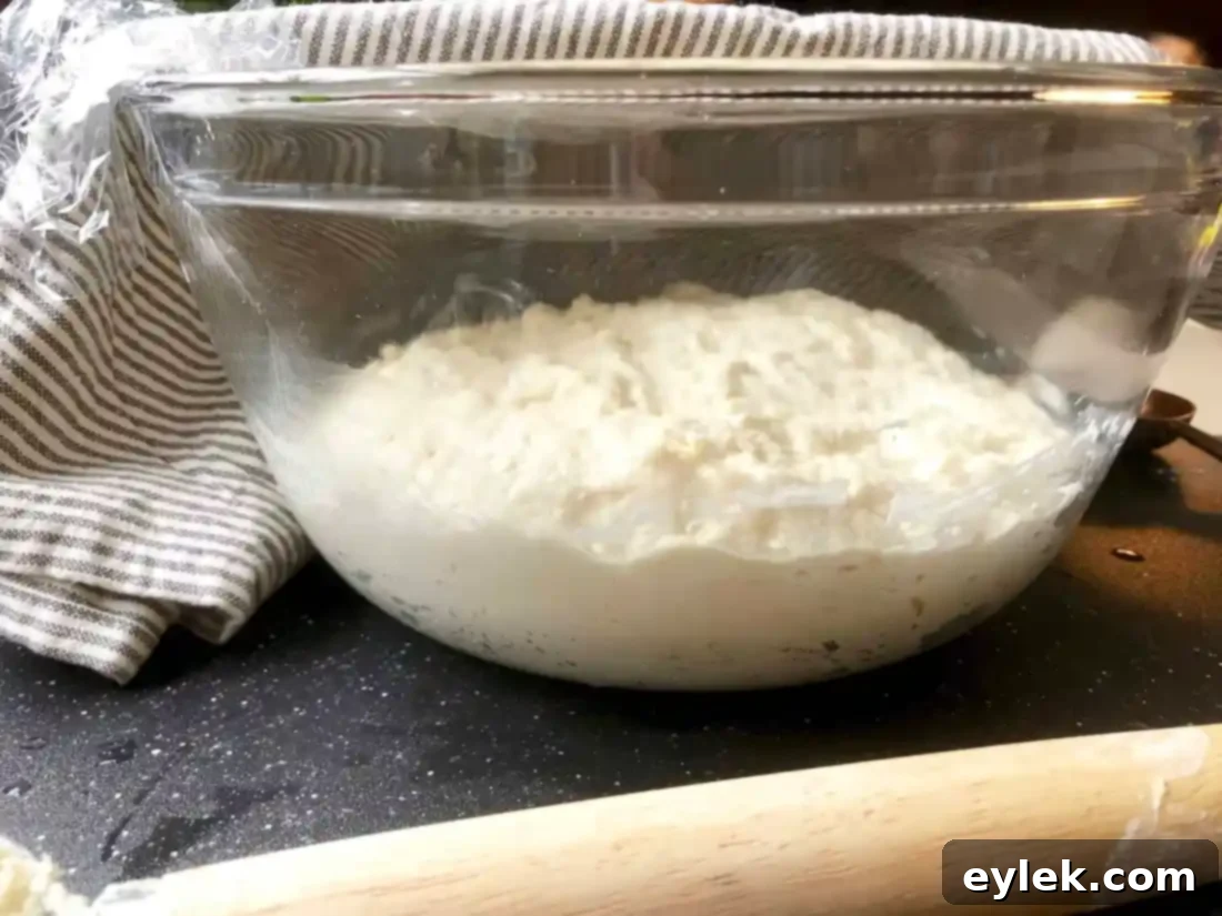 quick & easy no-knead artisan bread dough after two hours