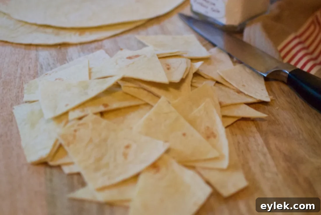 Crispy Homemade Tortilla Chips