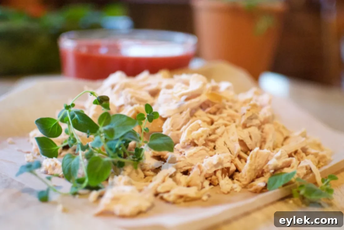 chicken tortellini soup