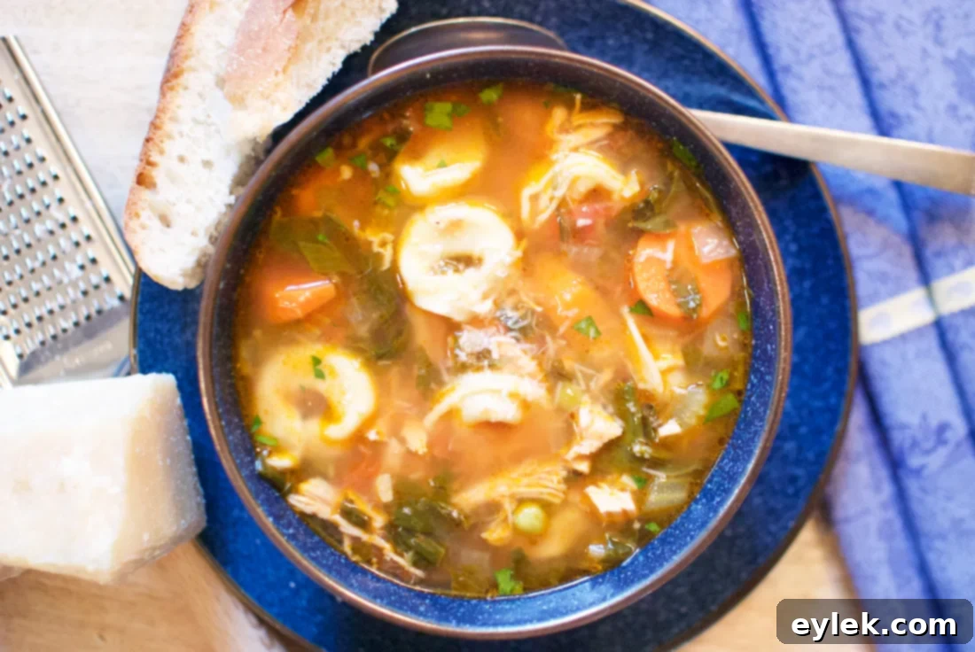 chicken tortellini soup