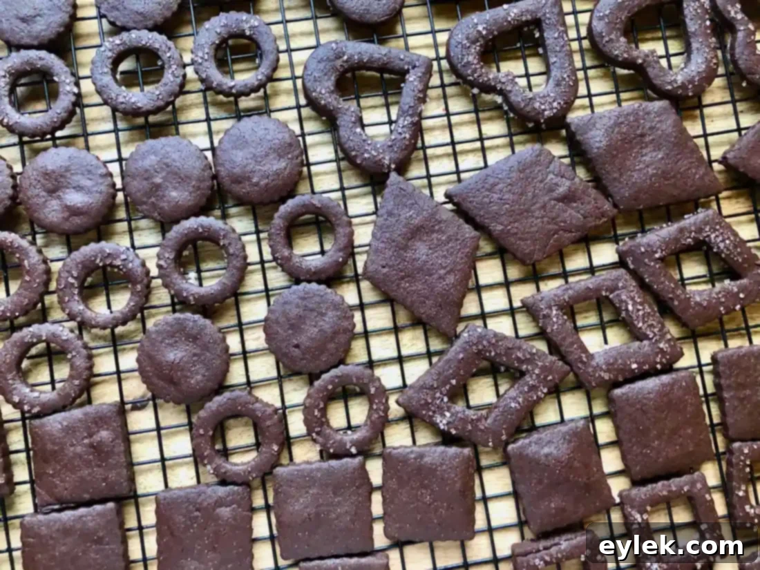 Dark Chocolate Tahini Linzer Cookies