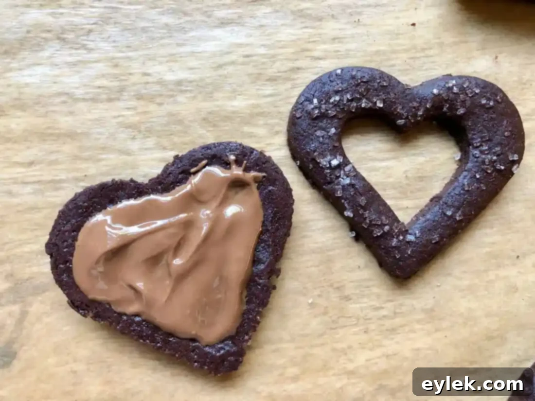 Dark Chocolate Tahini Linzer Cookies
