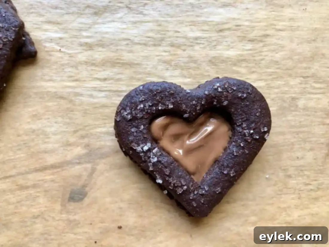 Dark Chocolate Tahini Linzer Cookies