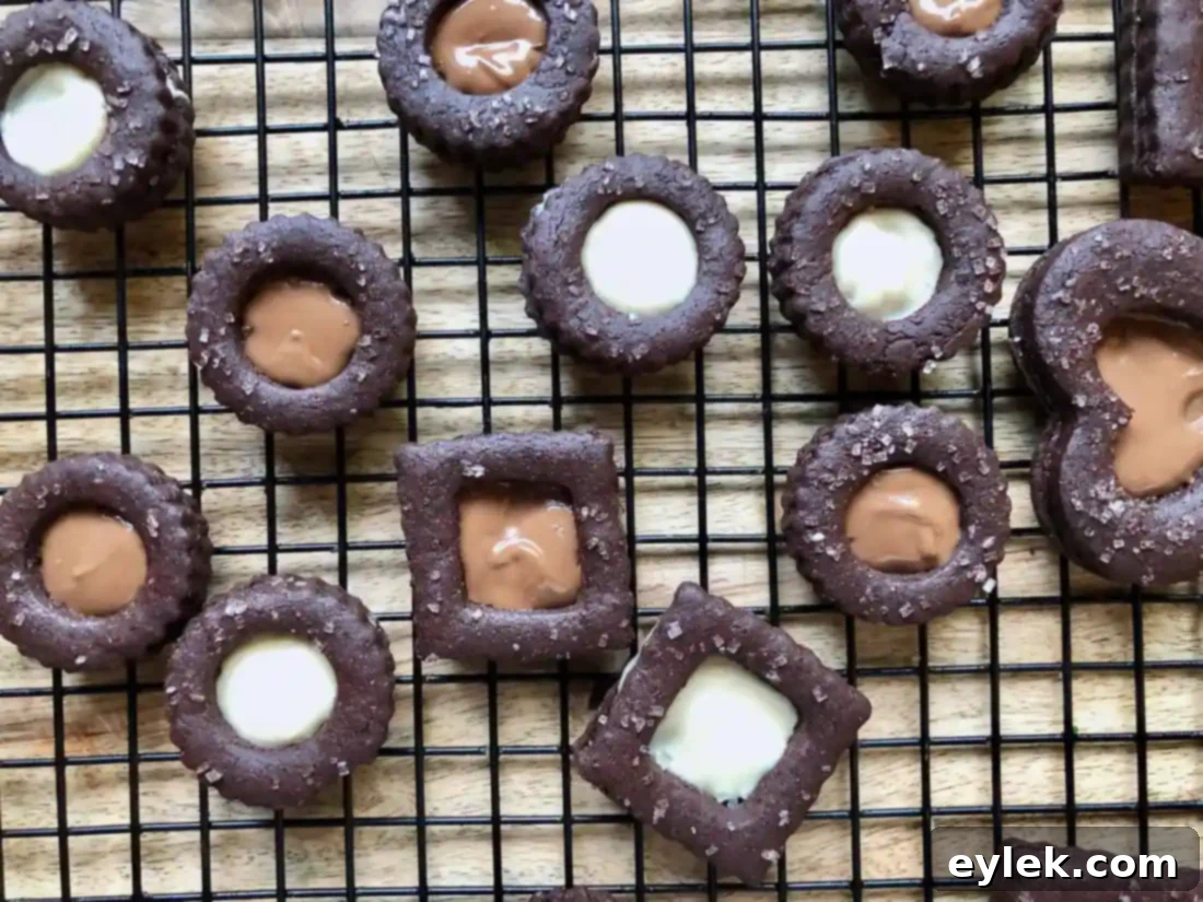Dark Chocolate Tahini Linzer Cookies