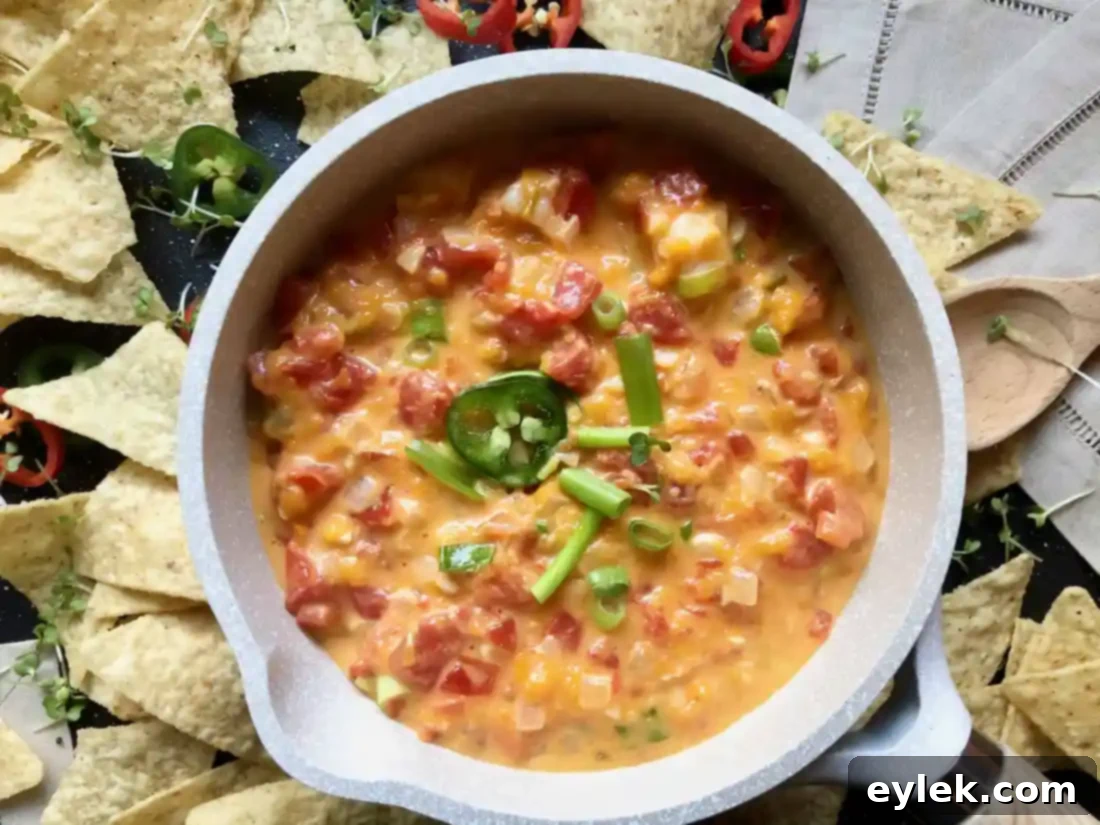 Fresh garnishes like jalapeños and green onions elevate the presentation of the queso dip.