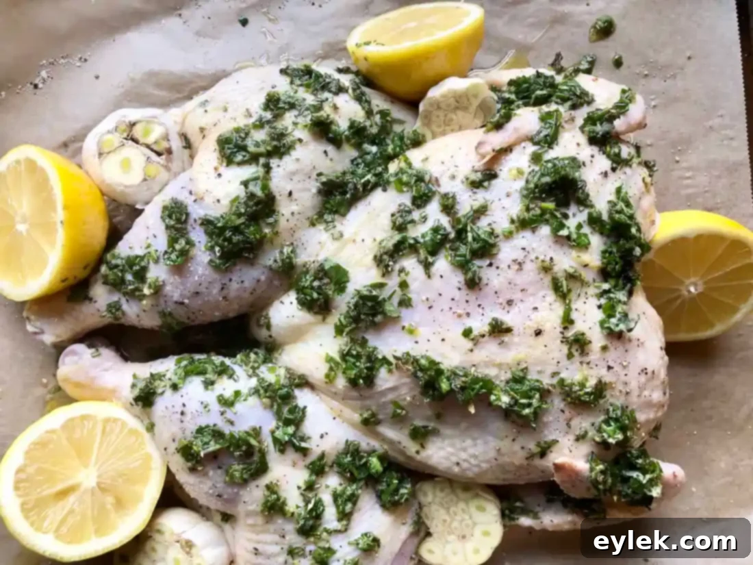 spatchcock chicken with lemons and garlic ready for roasting