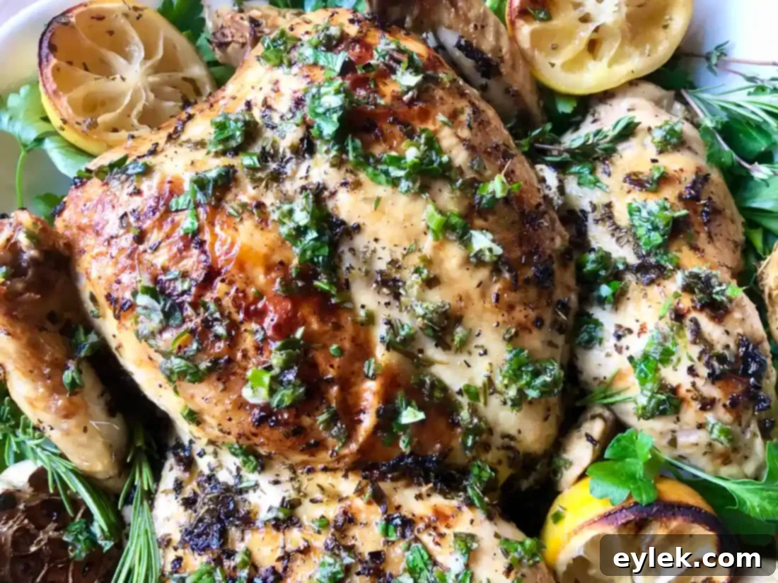 golden roasted spatchcock chicken