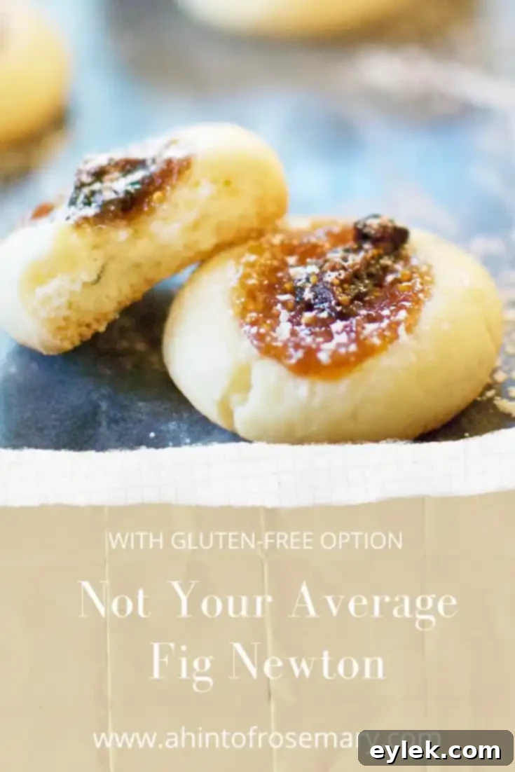 Not Your Average Fig Newton