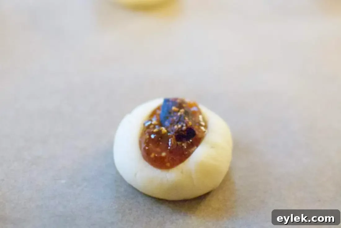 Not Your Average Fig Newton