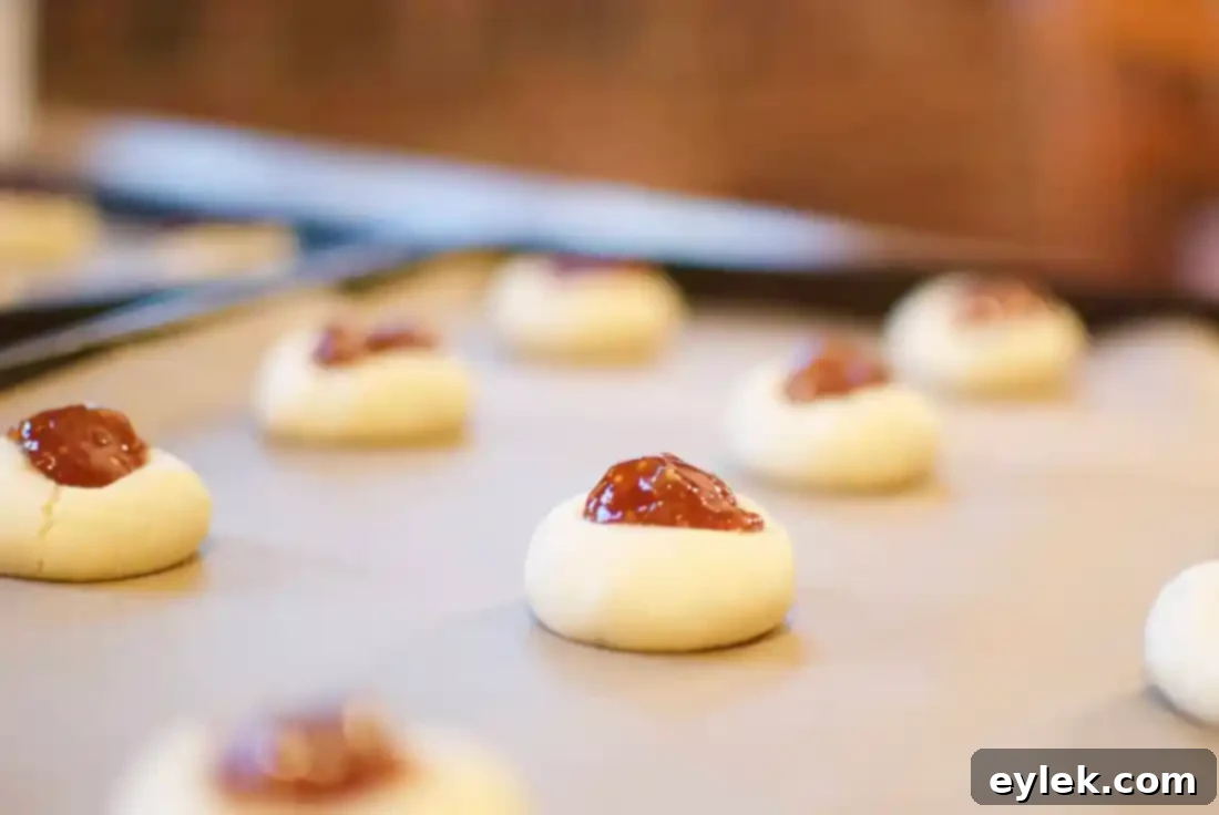 Not Your Average Fig Newton