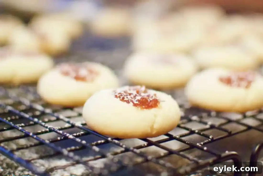 Not Your Average Fig Newton