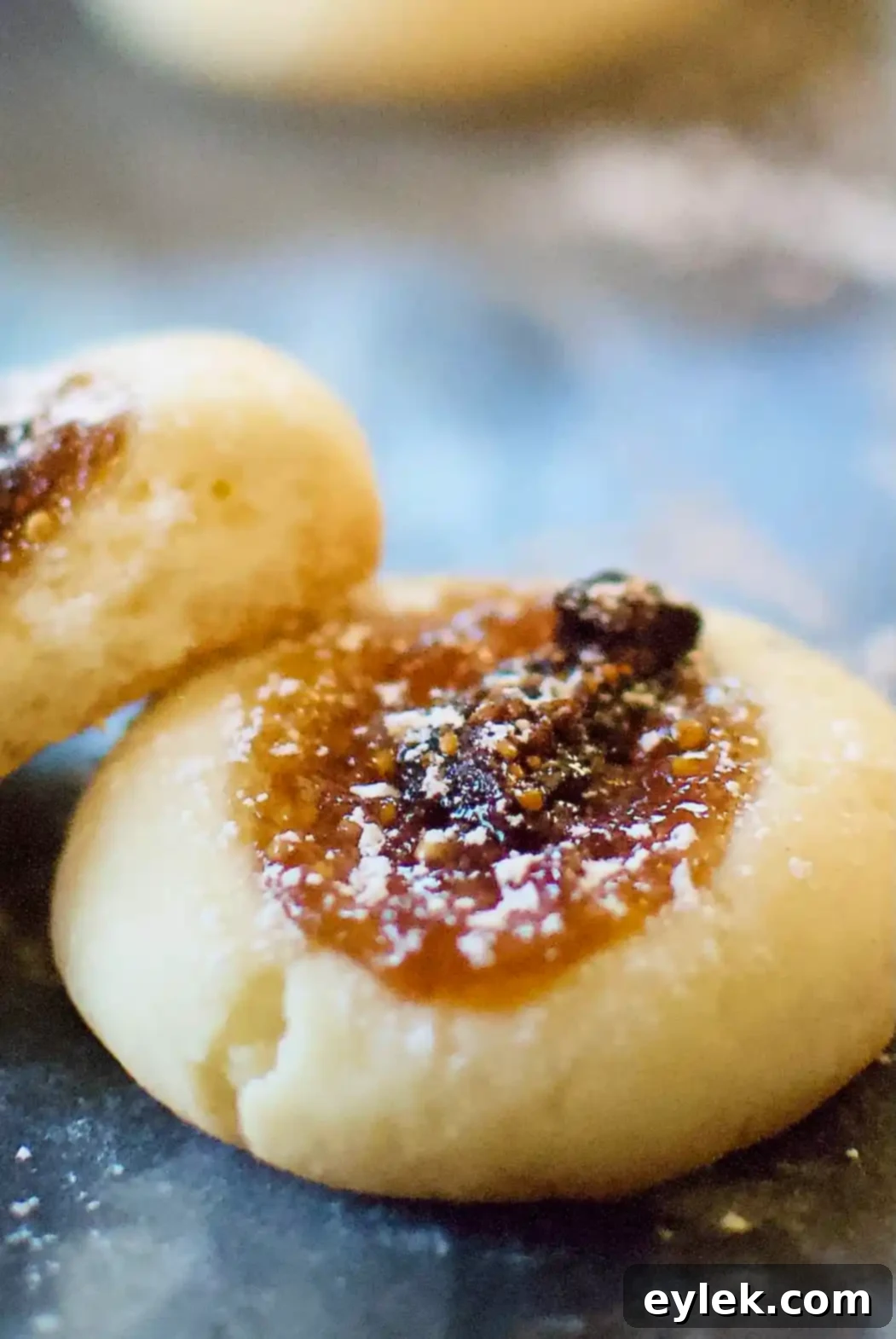 Not Your Average Fig Newton