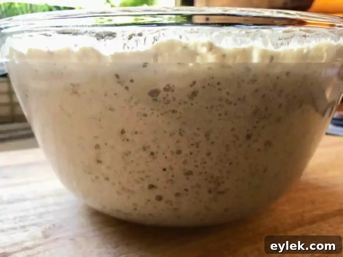 quick & easy deli-style rye bread