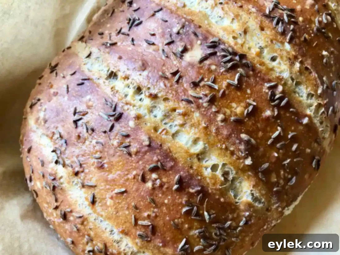quick & easy deli-style rye bread