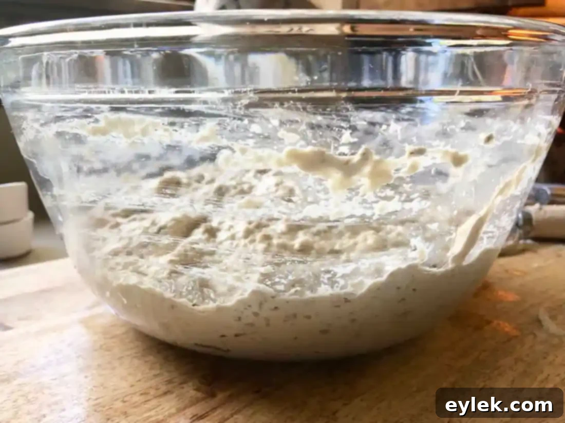quick & easy deli-style rye bread