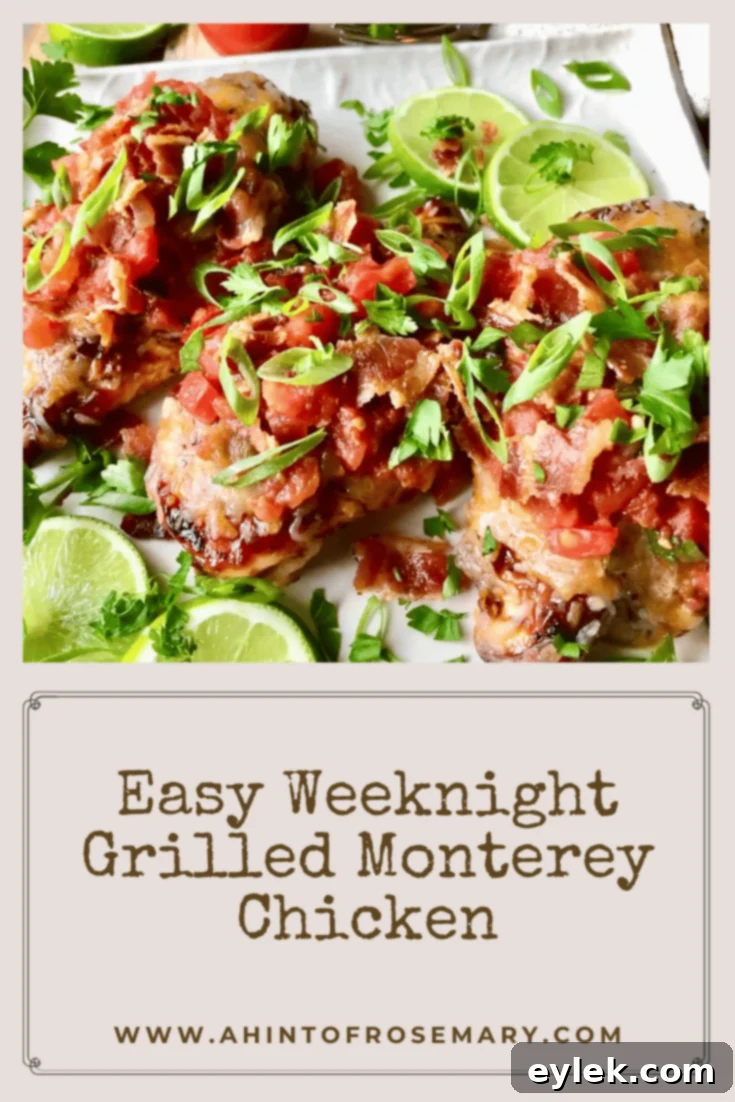 Quick and Cheesy Monterey Grilled Chicken 19 Easy Weeknight Grilled Monterey Chicken
