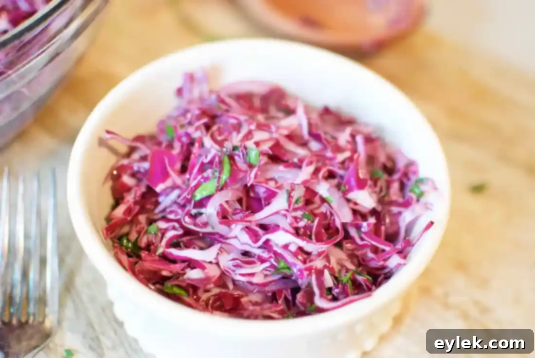 red cabbage slaw