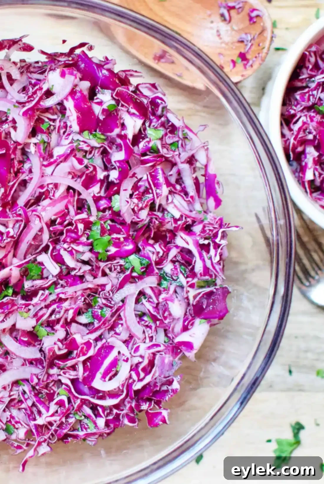 Bobby's Red Cabbage Slaw