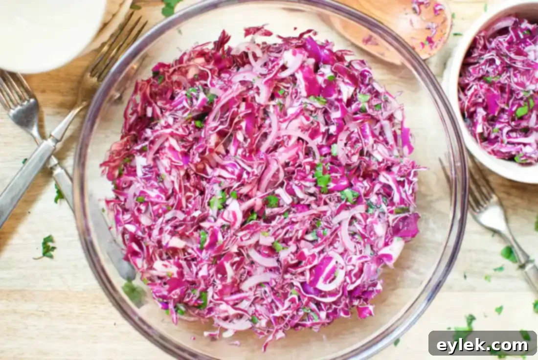Red Cabbage Slaw for Fish Tacos