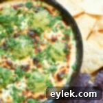 Queso Fundido Drizzled with Smoky Poblano Vinaigrette 18 img 2683 17