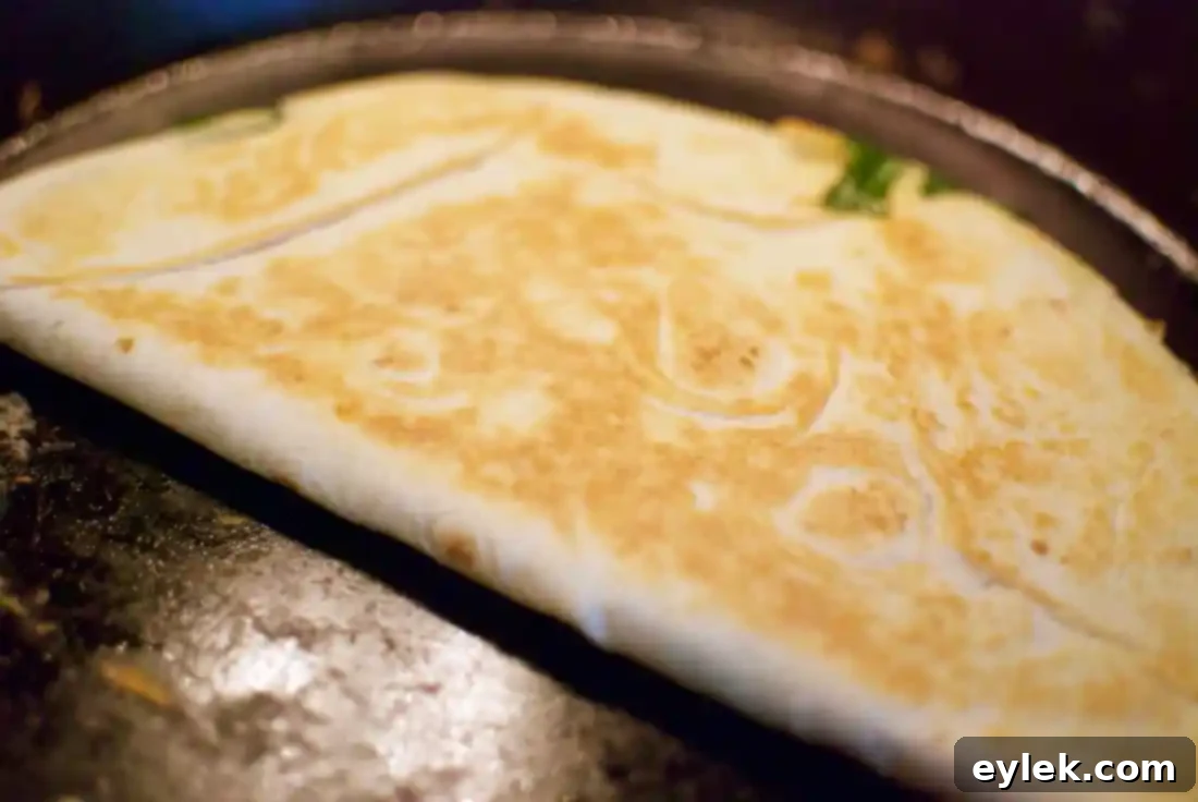 Golden Brown Mushroom Quesadillas