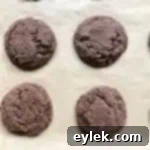 Midnight Chocolate Crinkle Cookies 20 ultra-dark chocolate crackle cookies