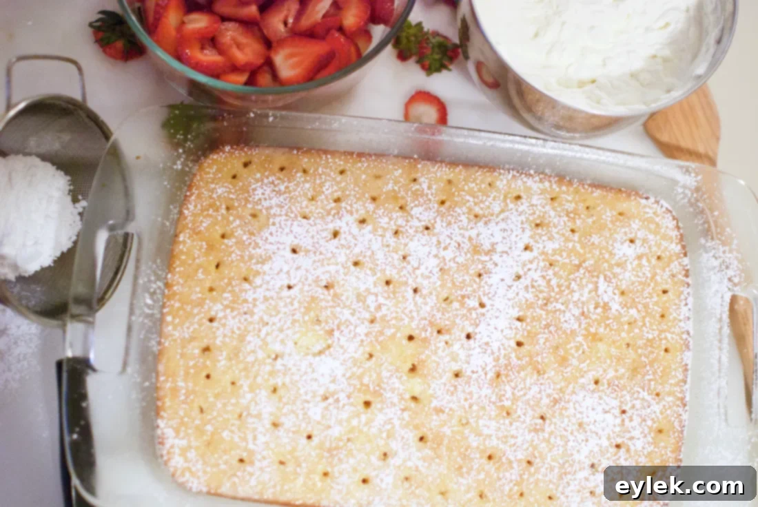 Tres Leches Cake ready to be served with berries