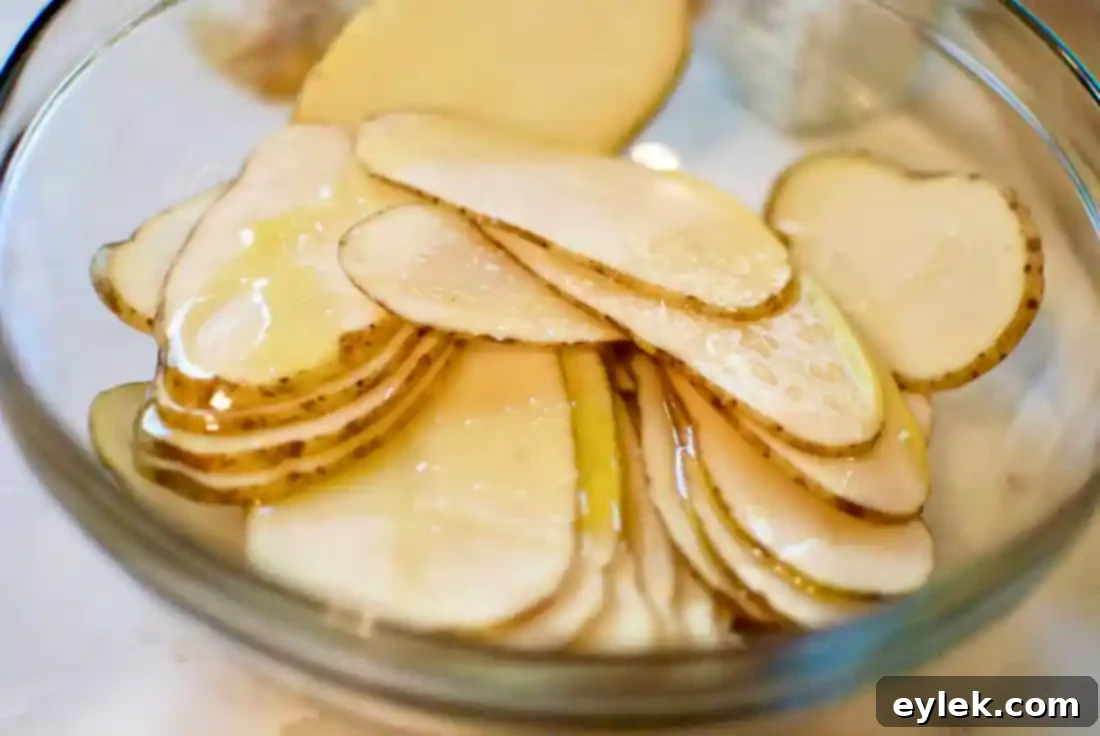 Not Your Standard Chips & Dip