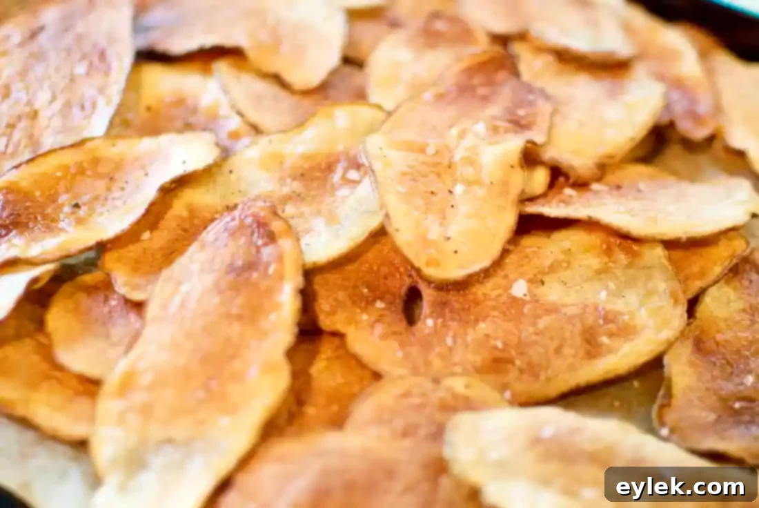 Not Your Standard Chips & Dip