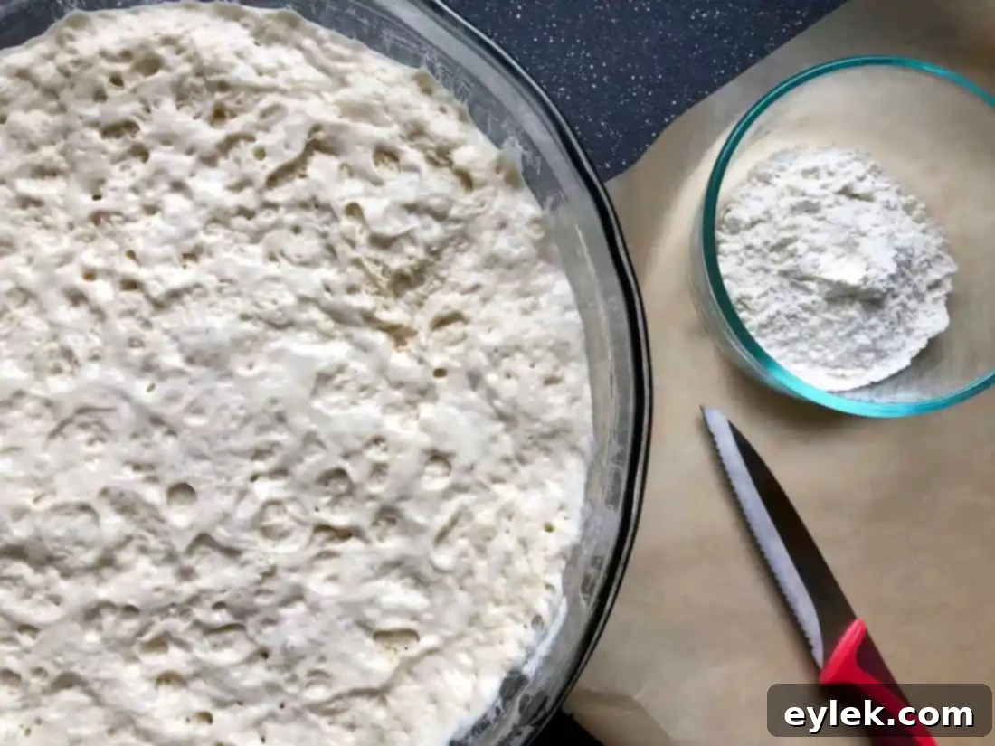 Process of shaping no-knead olive bread dough: from refrigerated dough to a flattened disk