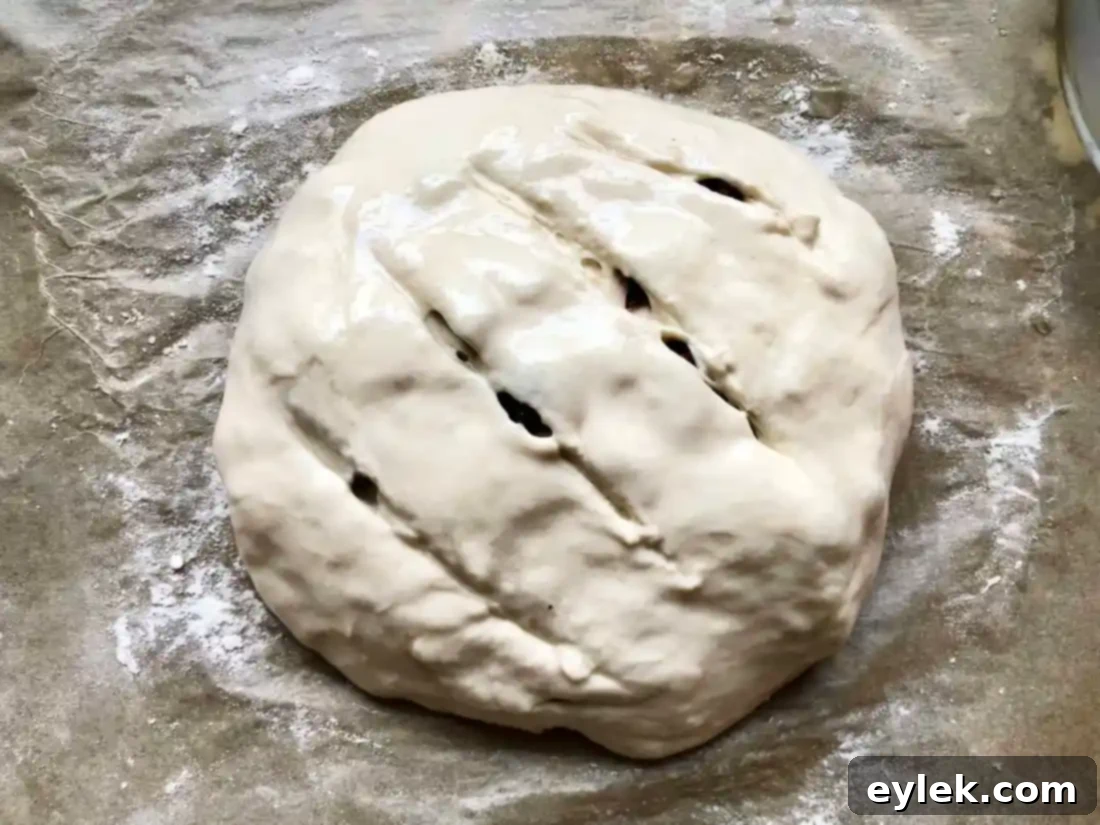 Scoring the no-knead olive bread dough with a serrated knife