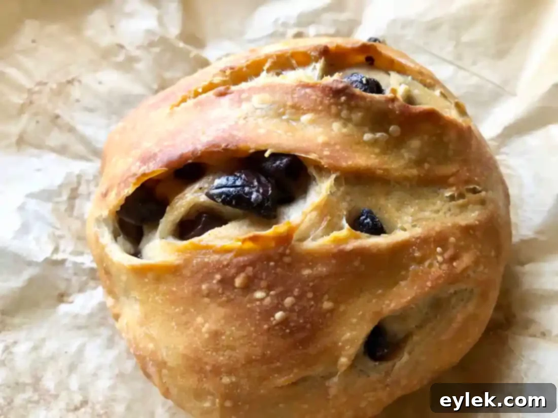 Close-up of the crust of a homemade no-knead olive bread