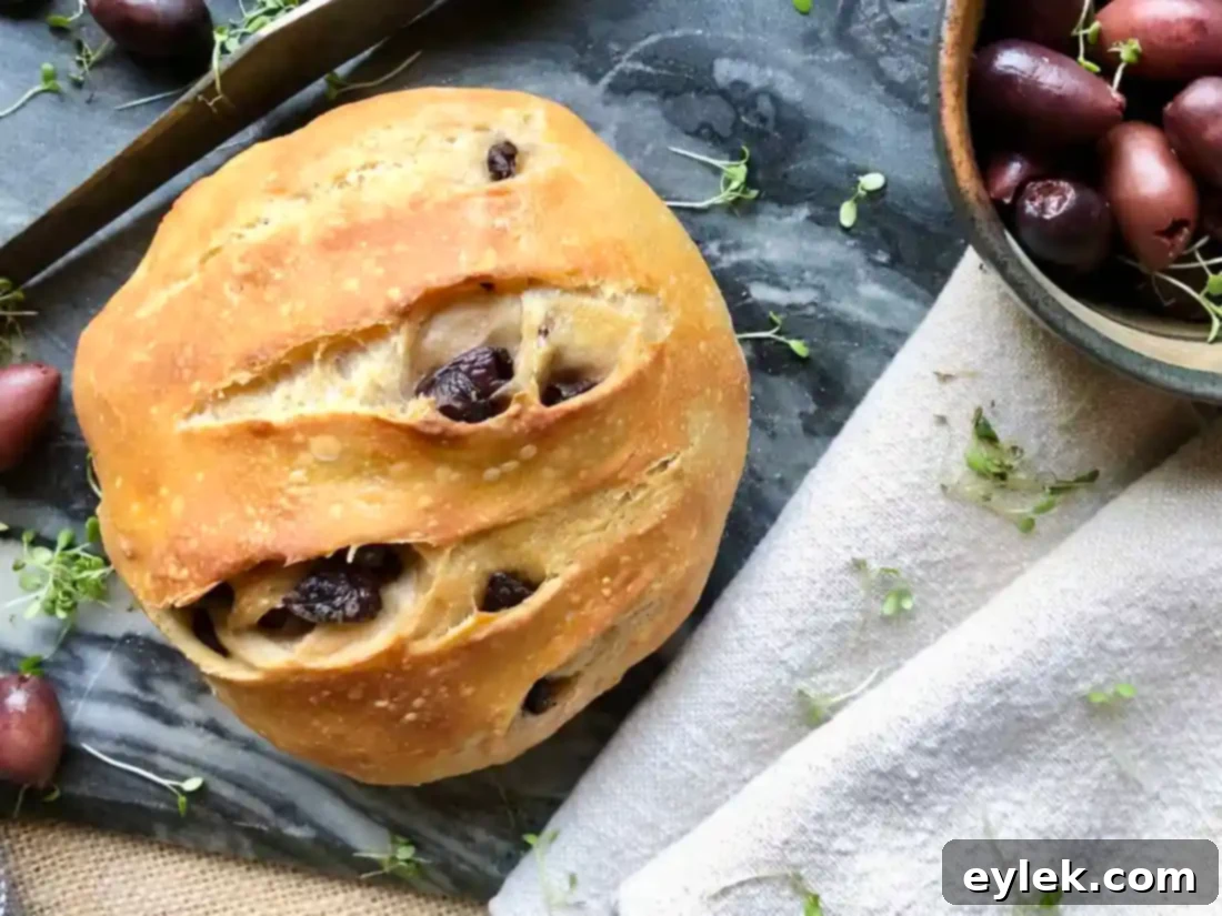 Two freshly baked loaves of no-knead olive bread cooling on a wire rack