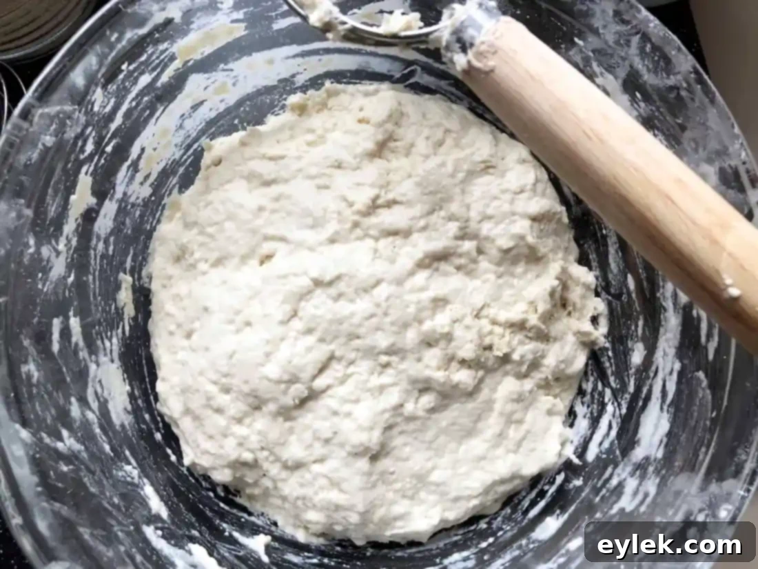 Raw dough after initial mix for no-knead artisan bread